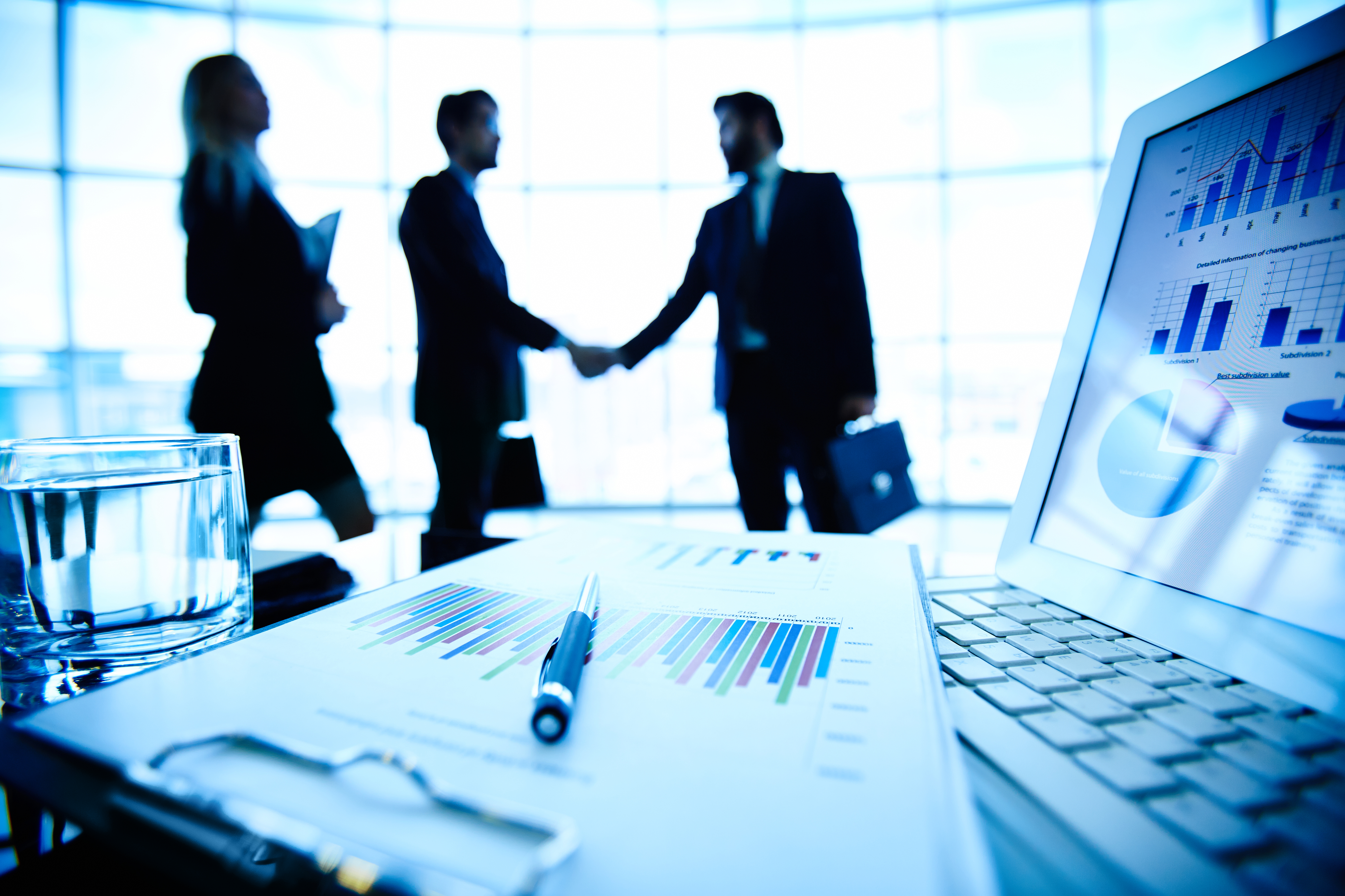 Economic Information and Executive Negotiations